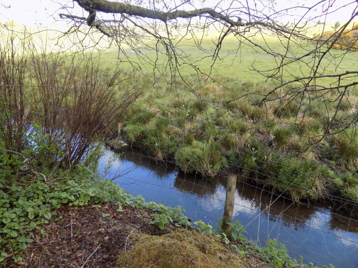 Cosy Quiet In Cornwall Close To The Coast * Davidstow