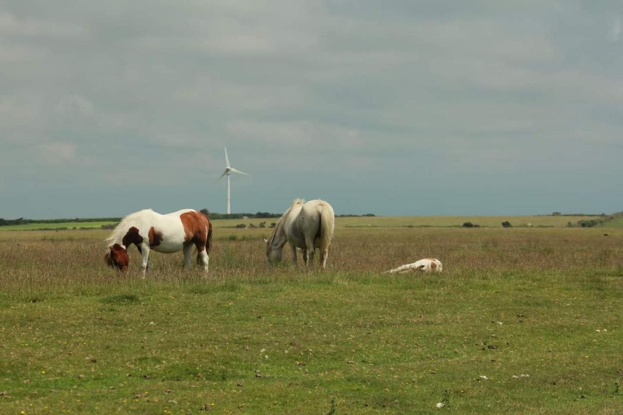 Cosy Quiet In Cornwall Close To The Coast * Davidstow